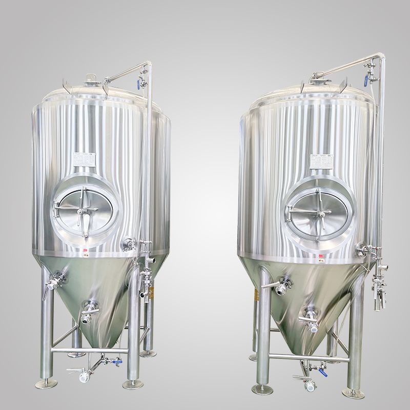 500L Side Manhole Fermenter