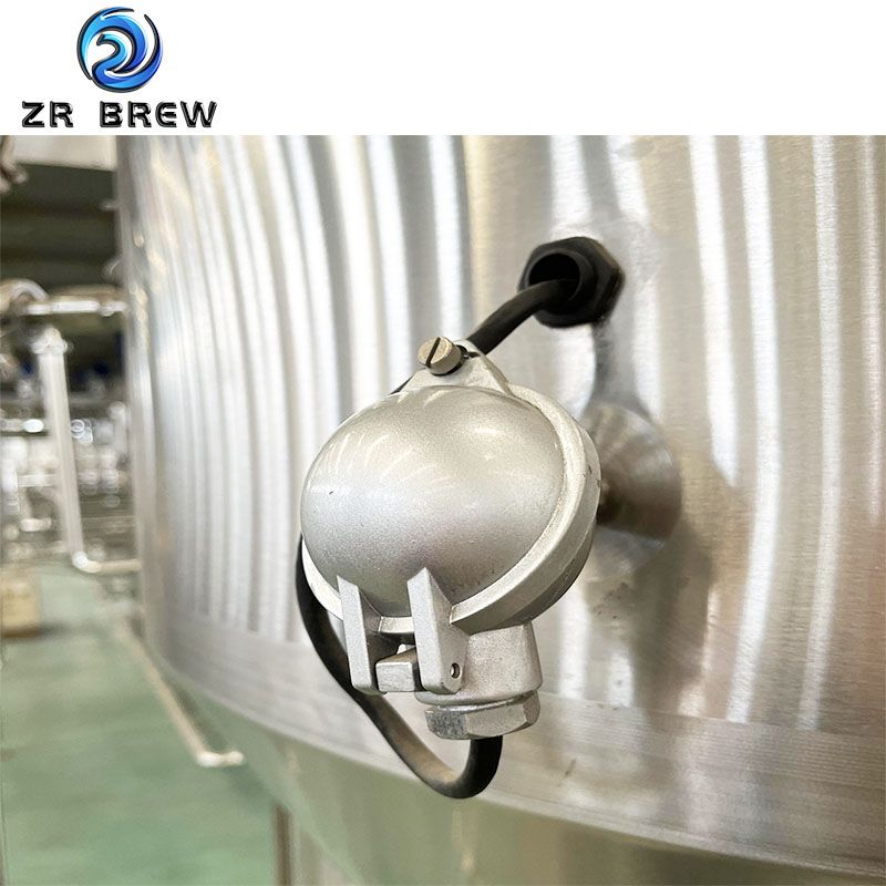 500L Side Manhole Fermenter