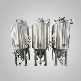 500L Top Manhole Fermenter