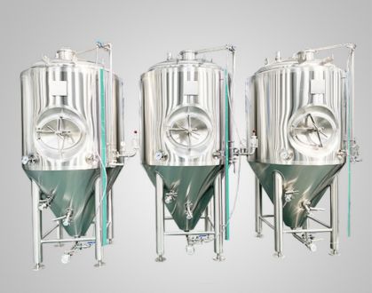 7BBL Side Manhole Fermenter
