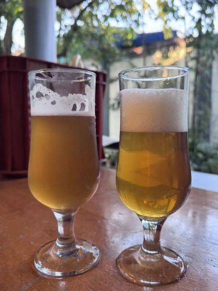 Philippines Craft Brewery Case Study: Plate Filter Delivers Stunning Beer Polishing Results